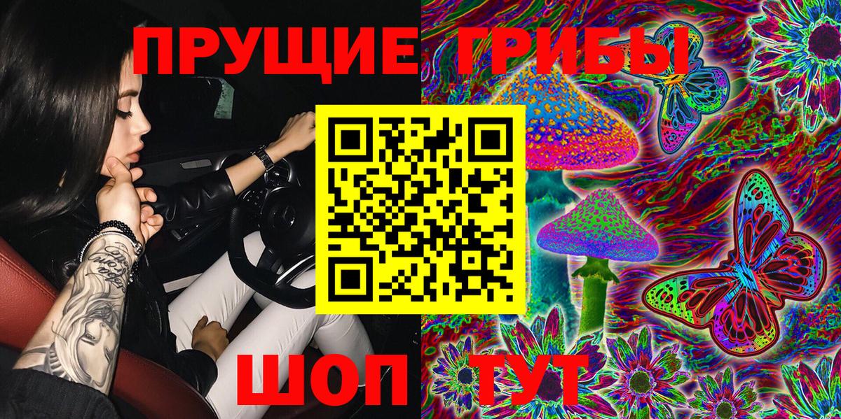 Псилоцибиновые грибы Psilocybe Нарткала
