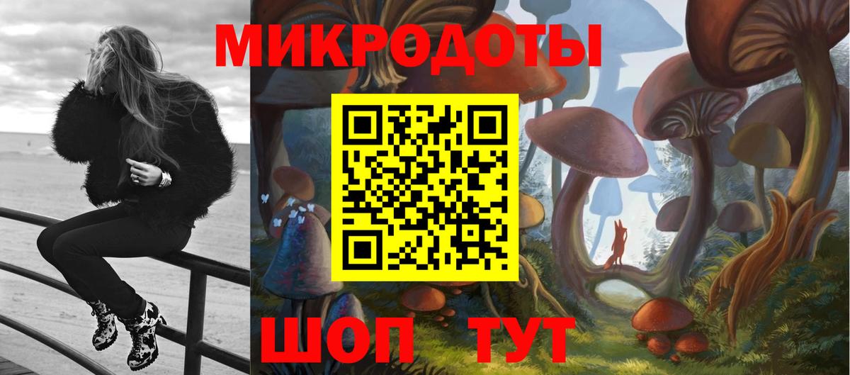 Псилоцибиновые грибы Psilocybe  Вход с VPN  Нарткала 